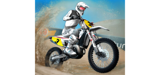 Mad Skills Motocross 3